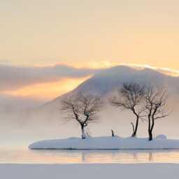 Misty Morning Scene At Lake Hibara Custom Made Printed Window - Cel-41 Roller Blind Opaque Or Total Blackout Shading - thumbnail 2