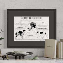 Vintage Borzoi Poster Dog Breed Standard Art Print in Antique Style Body Conformation Drawing - thumbnail 3