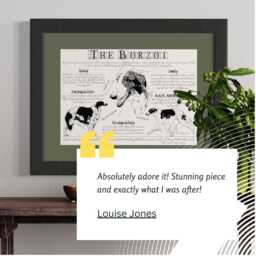 Vintage Borzoi Poster Dog Breed Standard Art Print in Antique Style Body Conformation Drawing - thumbnail 2