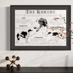 Vintage Borzoi Poster Dog Breed Standard Art Print in Antique Style Body Conformation Drawing - thumbnail 1