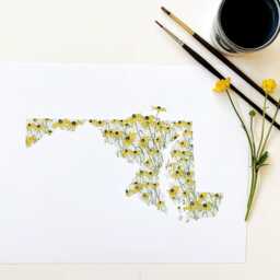 Maryland State Flower Map Watercolor Black Eyed Susan - Art Print Wall Graduation Wedding Realtor Moving Gift Midatlantic Floral - thumbnail 2