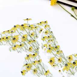 Maryland State Flower Map Watercolor Black Eyed Susan - Art Print Wall Graduation Wedding Realtor Moving Gift Midatlantic Floral - thumbnail 3