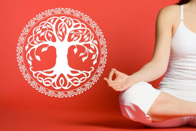 Celtic Tree Of Life Wall Decal Mandala Sticker Se026 - image 1