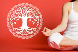 Celtic Tree Of Life Wall Decal Mandala Sticker Se026