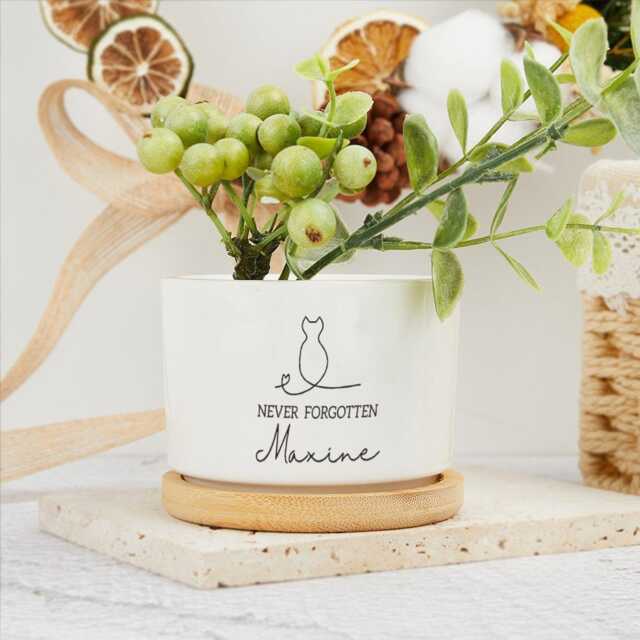 Personalized Cat Memorial Plant Pot, Never Forgotten Pet Flower Mom Dad Gifts, Loss Sympathy Lover Gifts - image 1