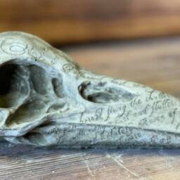 Stone Garden Raven Head Bird Skull Gothic Human Ornament Statue - thumbnail 2
