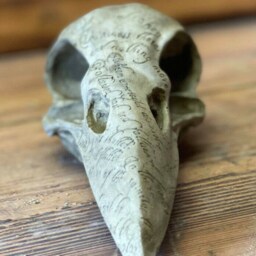 Stone Garden Raven Head Bird Skull Gothic Human Ornament Statue - thumbnail 3