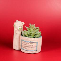 Handmade Ceramic Succulent Planter Funny Character Desk Decor - thumbnail 3