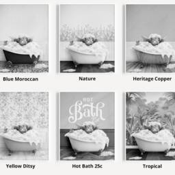 Black & White Highland Cow Calf in A Bath Print, Baby Bathing, Funny Bathroom Animal Bathtub, Tub Print - thumbnail 3