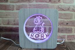 Personalized Dinosaur Led Night Light Custom Kids Room Decor