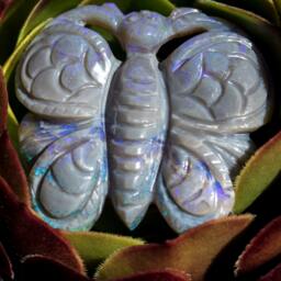 Blackopal Blue & Purple Jelly Butterfly Opal Carving - 64 Cts
