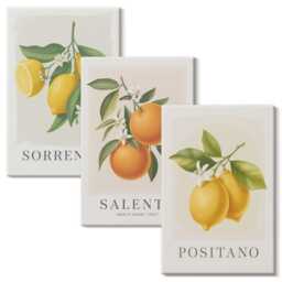 3 Piece Canvas Set - Lemons & Oranges From Italy's Amalfi Coast, Yellow Photo Print, Plants Flowers Wall Decor - thumbnail 2