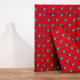 University Of Georgia Bulldogs Woven Silk 5x7 Graduation Picture Frame - Officially Licensed Uga Gifts - thumbnail 3
