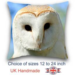 Snow Owl, Owl Cushion, Choice Of Sizes, Handmade - thumbnail 1