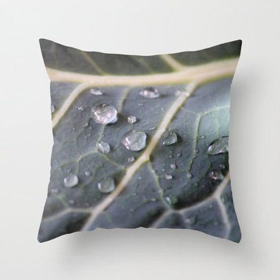 Water Drops On Kale, Pillow Or Cover , Home Decoration, Vegetables, Green, Garden, Macro, Botanical, Rain, Kitchen Decor - image 1