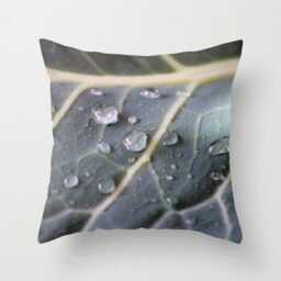 Water Drops On Kale, Pillow Or Cover , Home Decoration, Vegetables, Green, Garden, Macro, Botanical, Rain, Kitchen Decor - thumbnail 1