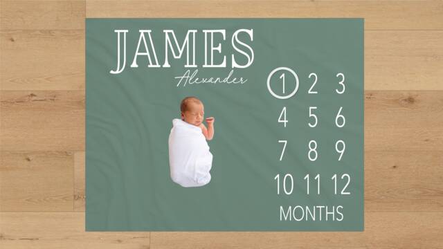 Gender Neutral Baby Milestone Blanket Personalized Monthly Custom Shower Gift For New Mom Keepsake One Year - image 1