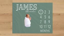 Gender Neutral Baby Milestone Blanket Personalized Monthly Custom Shower Gift For New Mom Keepsake One Year - thumbnail 1