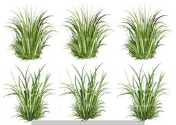 Basic Grass Decals, Sectioned Realistic Wall Art, Hand-Painted Decals For Walls, Tile & Furniture, Home D??cor - thumbnail 1