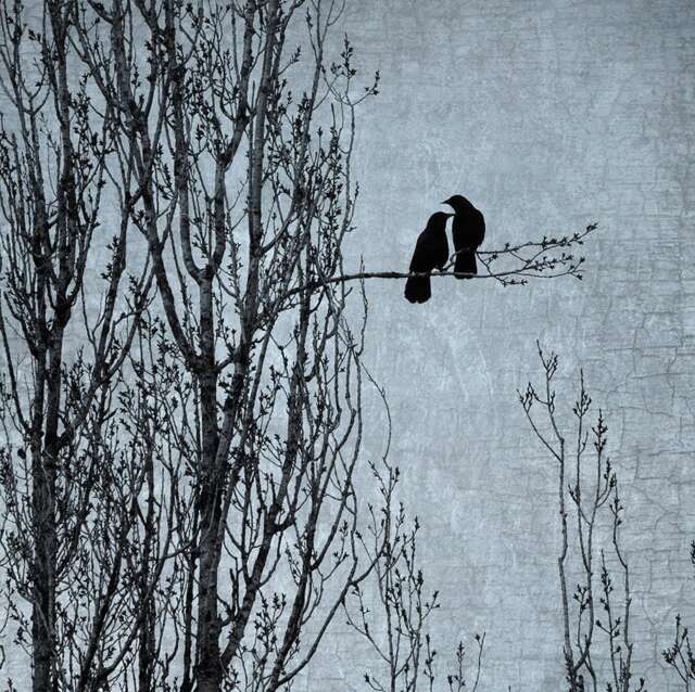 Love's Delicate Balance - Signed Fine Art Photographic Collage By June Hunter Crow - image 1