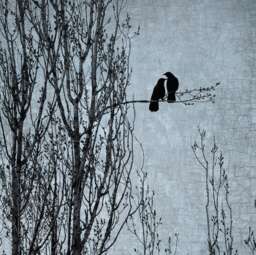 Love's Delicate Balance - Signed Fine Art Photographic Collage By June Hunter Crow - thumbnail 1