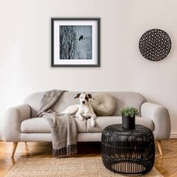 Love's Delicate Balance - Signed Fine Art Photographic Collage By June Hunter Crow - thumbnail 2