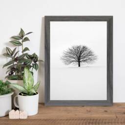 Photo Picture Frame Poster Size Frames White Grey Oak All Wall Hanging Deco - thumbnail 2