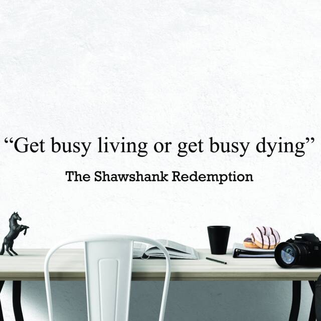 The Shawshank Redemption Inspirational Motivational Wall Decal Quote Art Inspired Focus Positive Home Room Decor Encouragement 48x7 In - image 1