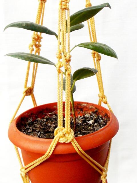 Beige Macrame Plant Hanger 20 Inches 3mm Wall Hanging Hanging Planter Flower Pot Indoor Or Outdoor Decor Window Cord Gift Idea - image 1
