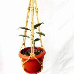 Beige Macrame Plant Hanger 20 Inches 3mm Wall Hanging Hanging Planter Flower Pot Indoor Or Outdoor Decor Window Cord Gift Idea - thumbnail 2