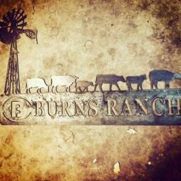 Custom Ranch Sign - Cattle Brand Personalized Metal Wall Art Cow Silhouette Cattle Drive - thumbnail 3