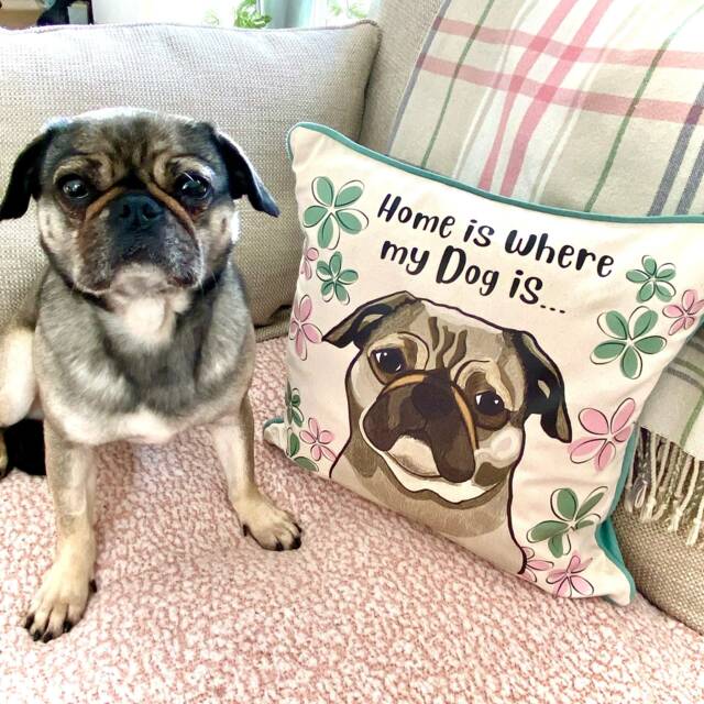 Personalised Floral Dog Mum Cushion Cover, Christmas Gift For Her, Dog Lover Birthday Gift, Mum Illustration Floral Cushion - image 1