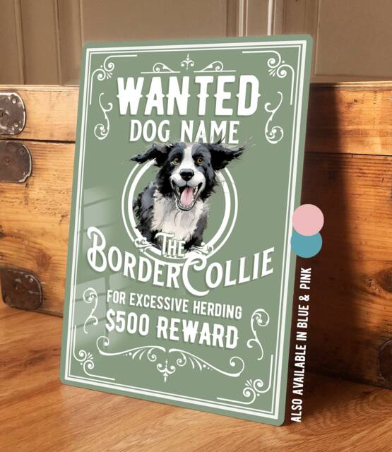 Personalised Border Collie Sign Metal Dog Breed Wall Door Decor Wanted Gifts Retro Tin Plaque Aluminium 200 X 305mm - image 1