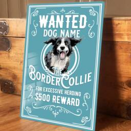 Personalised Border Collie Sign Metal Dog Breed Wall Door Decor Wanted Gifts Retro Tin Plaque Aluminium 200 X 305mm - thumbnail 3