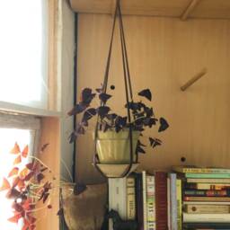 Plant Hanger in Leather - thumbnail 3