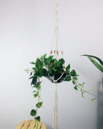 Macrame Plant Hanger Copper Accents, Indoor Outdoor Hanging Planterno Tariffs/Fees To Usa
