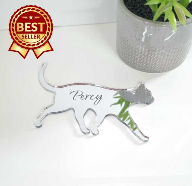 Personalized Cat Acrylic Mirror Wall Art Custom Engraved Decor - image 1