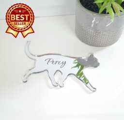 Personalized Cat Acrylic Mirror Wall Art Custom Engraved Decor