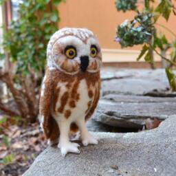 Mr. Northern Saw Whet Owl, Needle Felted Bird Fiber Art Sculpture - thumbnail 2