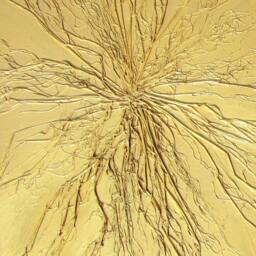 Textured Organic Art On Canvas - Maize Plant, 40x30 cm - thumbnail 2