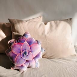 Velvet Leaf Pillow, Succulent Pillow Plush, Modern Decorative Cushions, Gardening Gifts For Women, Housewarming - thumbnail 3