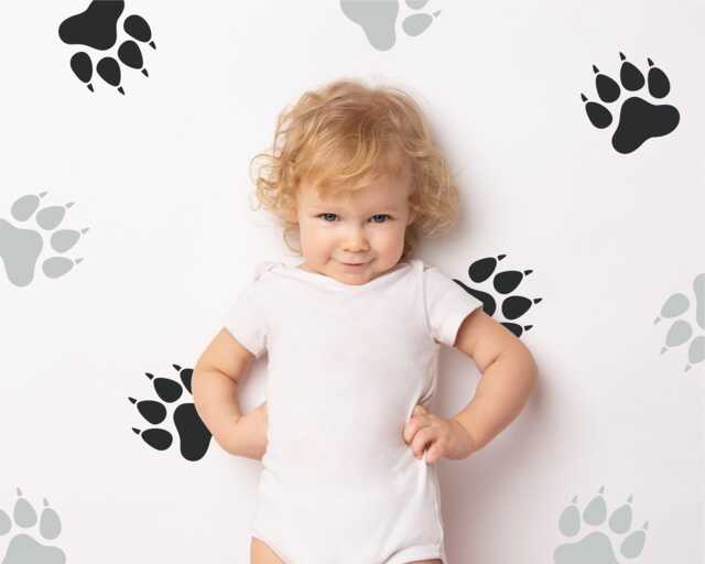 Paw Prints - Vinyl Wall Decals Peel & Stick Animal Footprints Wild Jungle Theme Lion Tiger Cat Track Stickers Kids Nursery D??cor - image 1