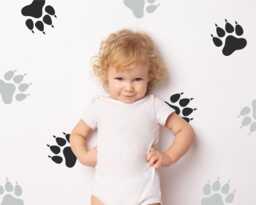 Paw Prints - Vinyl Wall Decals Peel & Stick Animal Footprints Wild Jungle Theme Lion Tiger Cat Track Stickers Kids Nursery D??cor - thumbnail 1