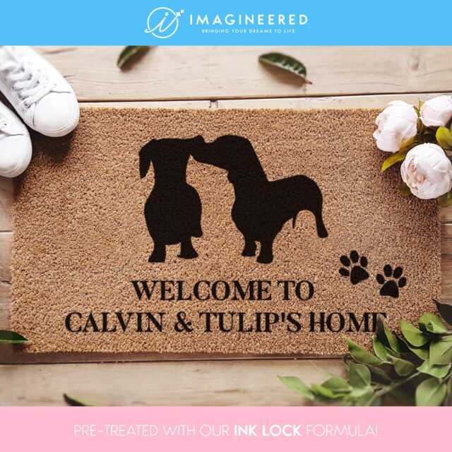 Custom Dachshund Doormat - Wiener Dog Door Mat Personalized Welcome Funny Weiner Gifts - image 1