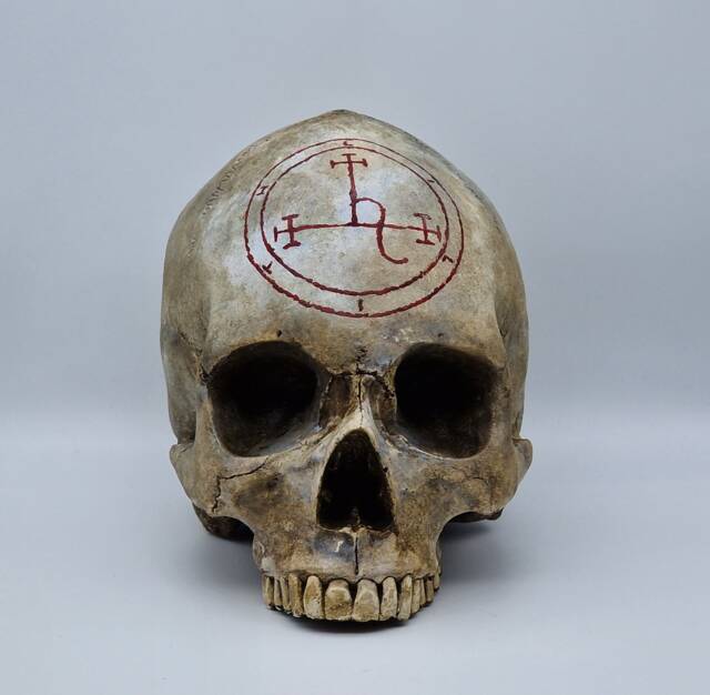 Lilith . Plaster Of Paris Life Size Human Skull Replica - image 1