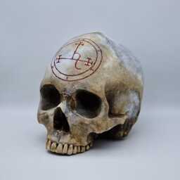 Lilith . Plaster Of Paris Life Size Human Skull Replica - thumbnail 2