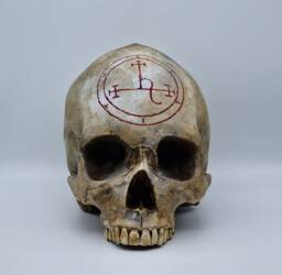 Lilith . Plaster Of Paris Life Size Human Skull Replica - thumbnail 1