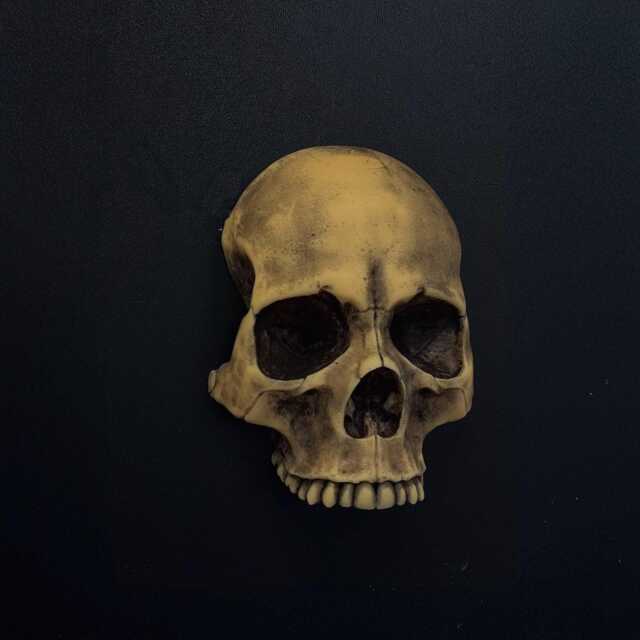 Wall Mounted Skull Decor - Gothic Art, Faux Dark Aesthetic Home Decor, Witchy Room Decoration, Halloween Hanging - image 1