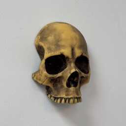 Wall Mounted Skull Decor - Gothic Art, Faux Dark Aesthetic Home Decor, Witchy Room Decoration, Halloween Hanging - thumbnail 2