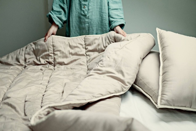 Twin Size Summer Wool Blanket For Nontoxic Bedroom Using Organic - Us Duty Paid - image 1